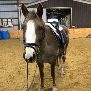 Meet your Posher, Randie